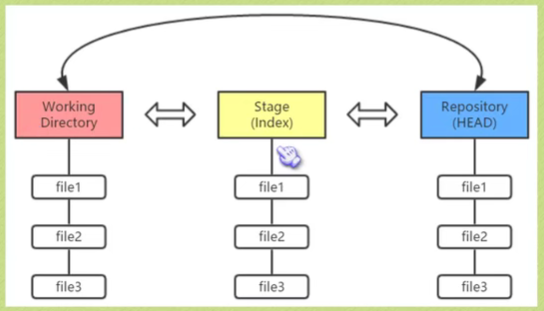 image-20220111133716264