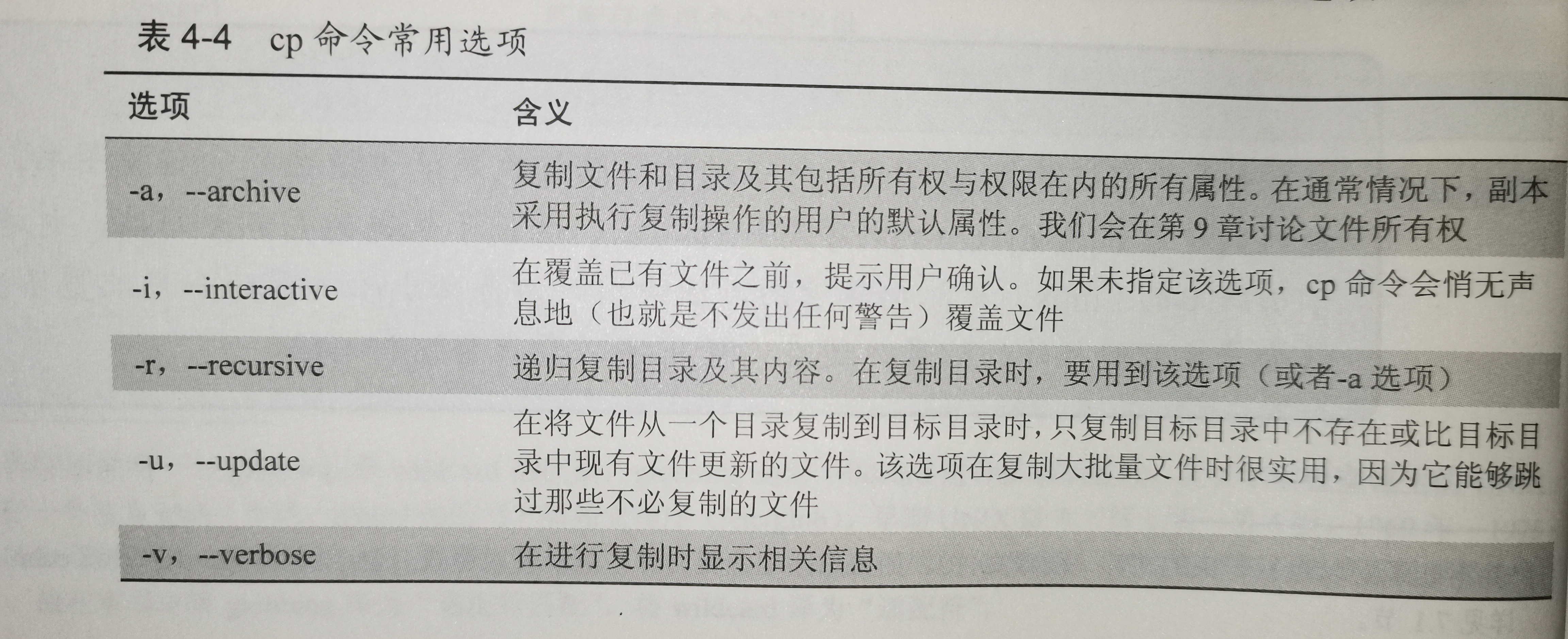 cp命令常用选项